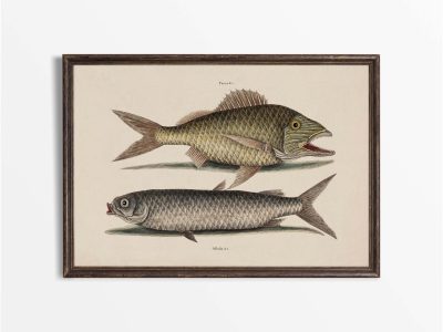 Tropical Fish V Vintage Art Print