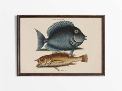 Tropical Fish VII Vintage Art Print