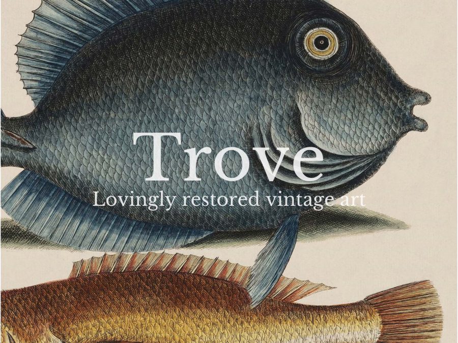 Tropical Fish VII Vintage Art Print