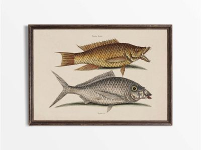 Tropical Fish VIII Vintage Art Print