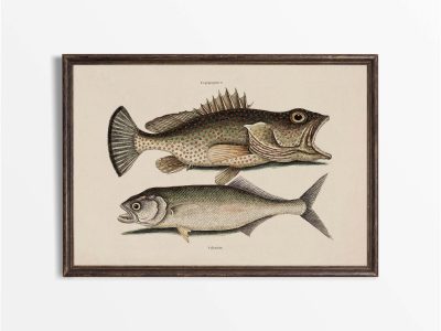 Tropical Fish X Vintage Art Print