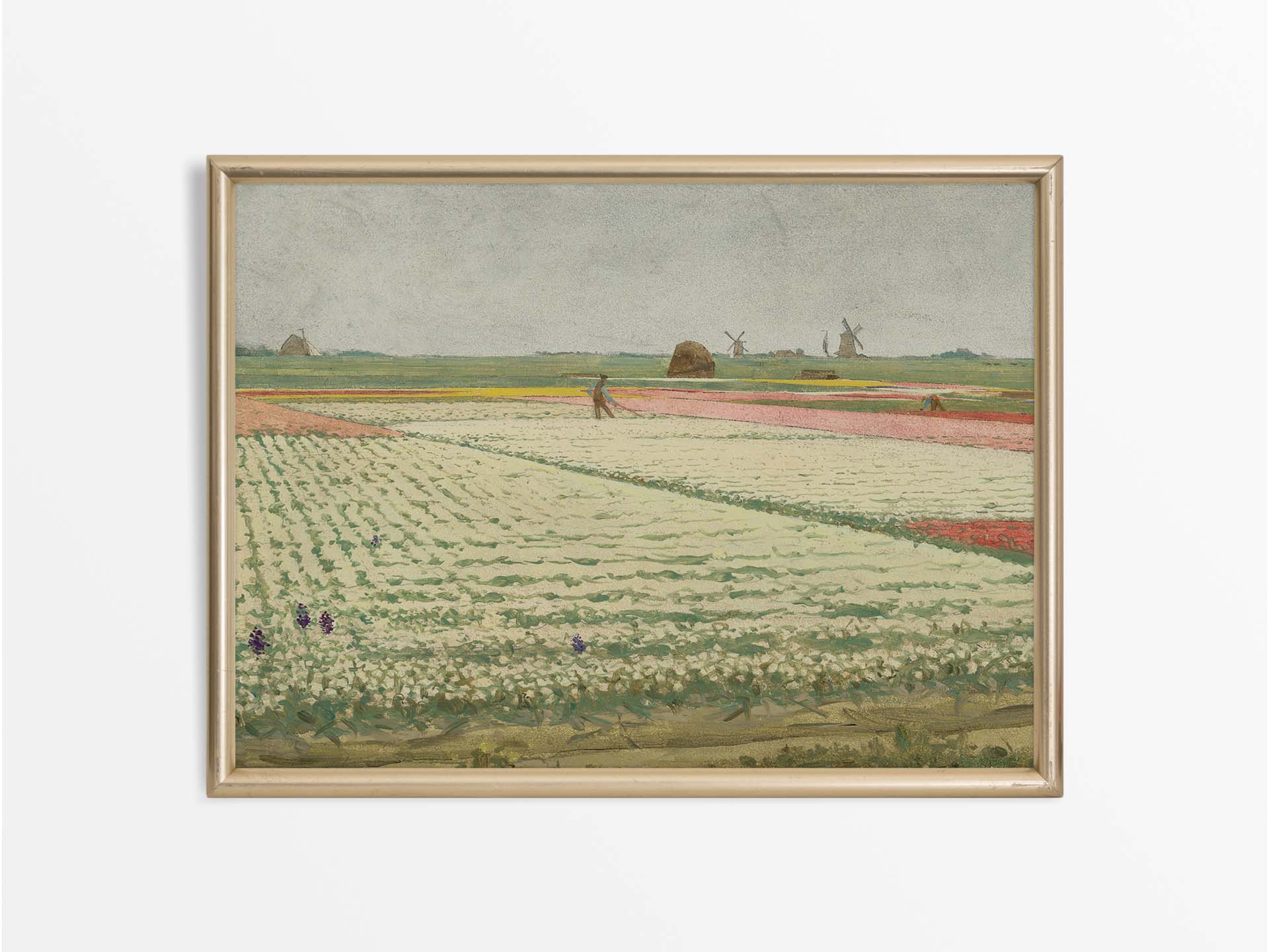 Tulip Fields Vintage Art Print