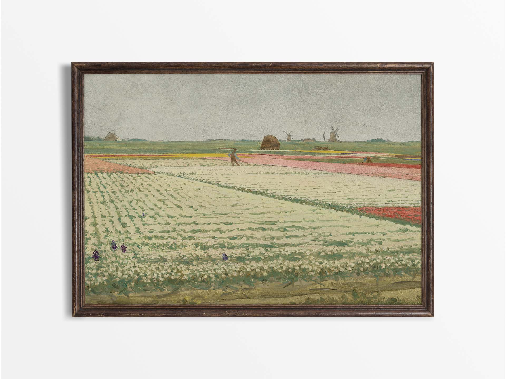 Tulip Fields Vintage Art Print