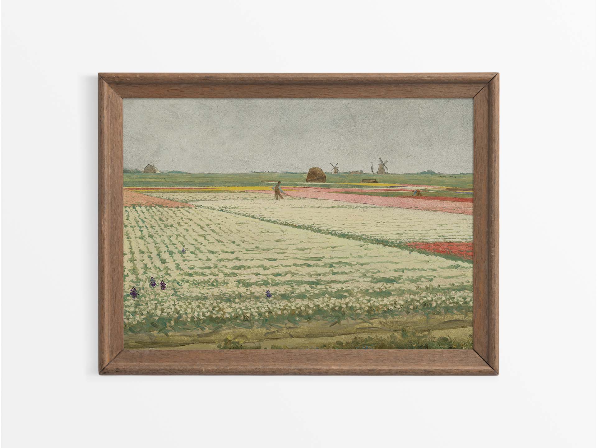 Tulip Fields Vintage Art Print