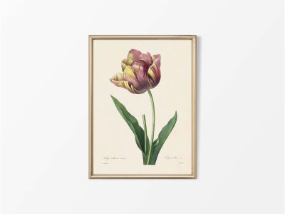 Tulip Vintage Art Print