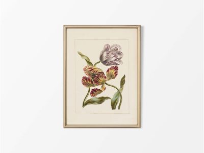 Tulips Vintage Art Print