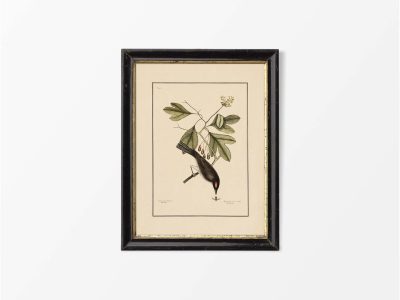 Tyrant Vintage Art Print