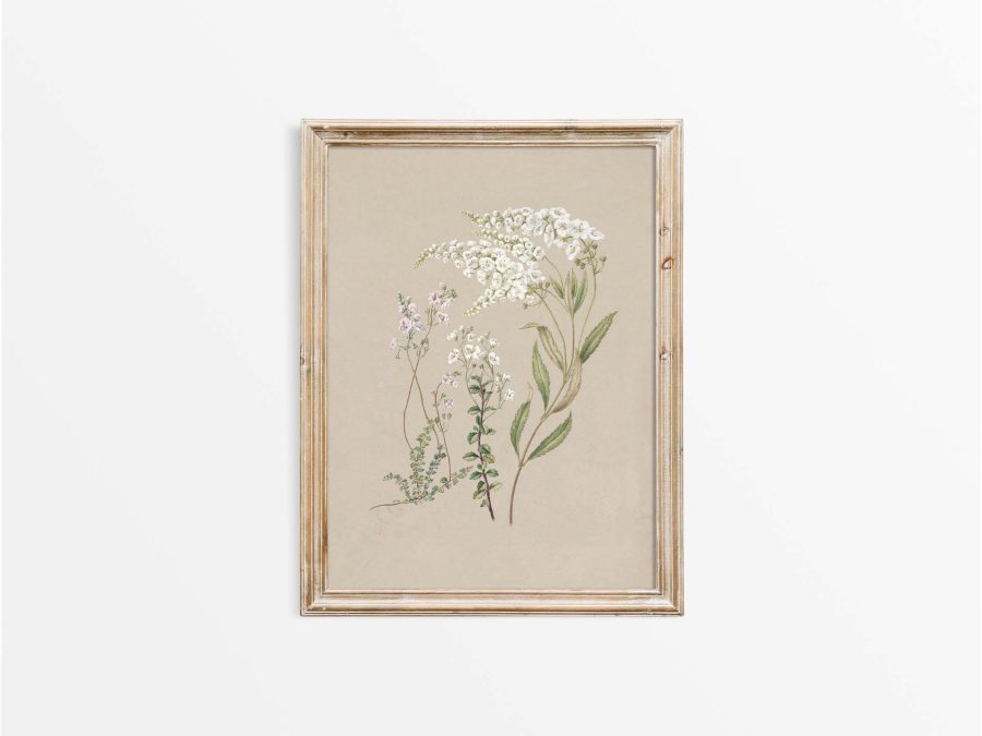 Veronica Vintage Art Print