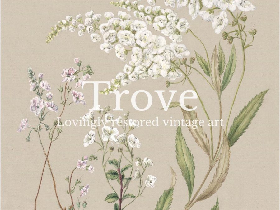 Veronica Vintage Art Print