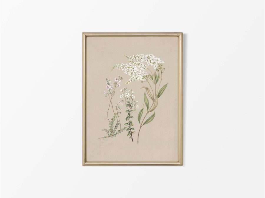 Veronica Vintage Art Print