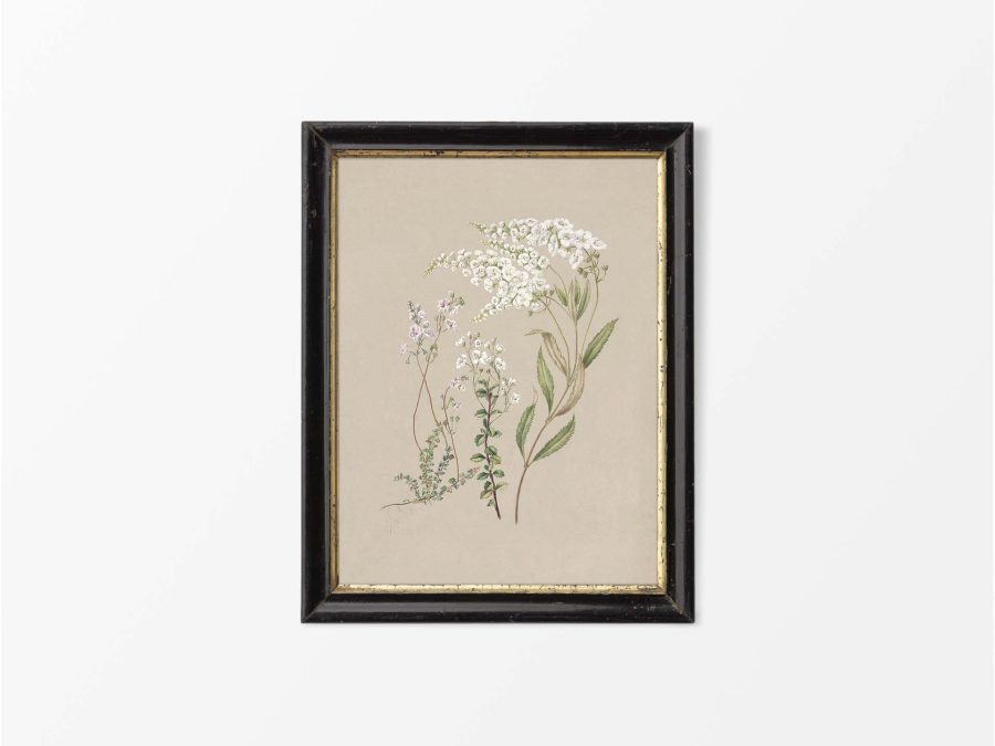 Veronica Vintage Art Print