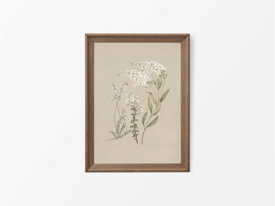 Veronica Vintage Art Print
