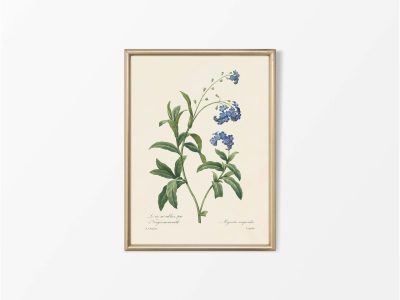 Water Forget-Me-Not Vintage Art Print