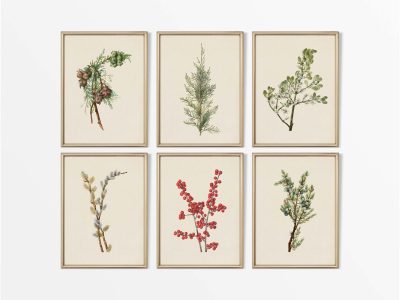 Winter Botanicals (Set of Six) Vintage Art Prints