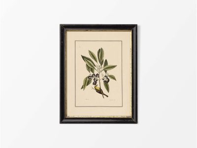 Yellow Bird Vintage Art Print
