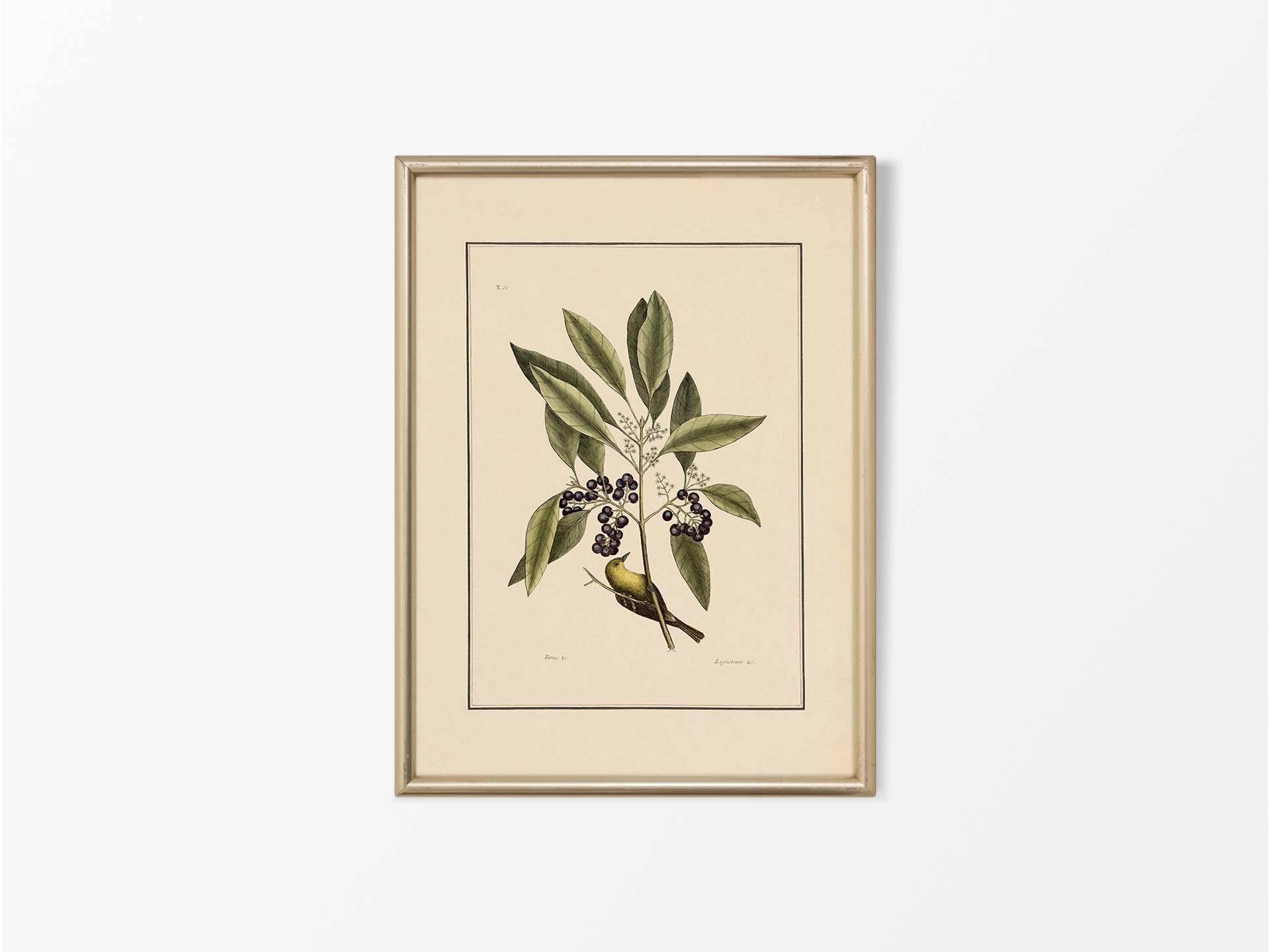 Yellow Bird Vintage Art Print