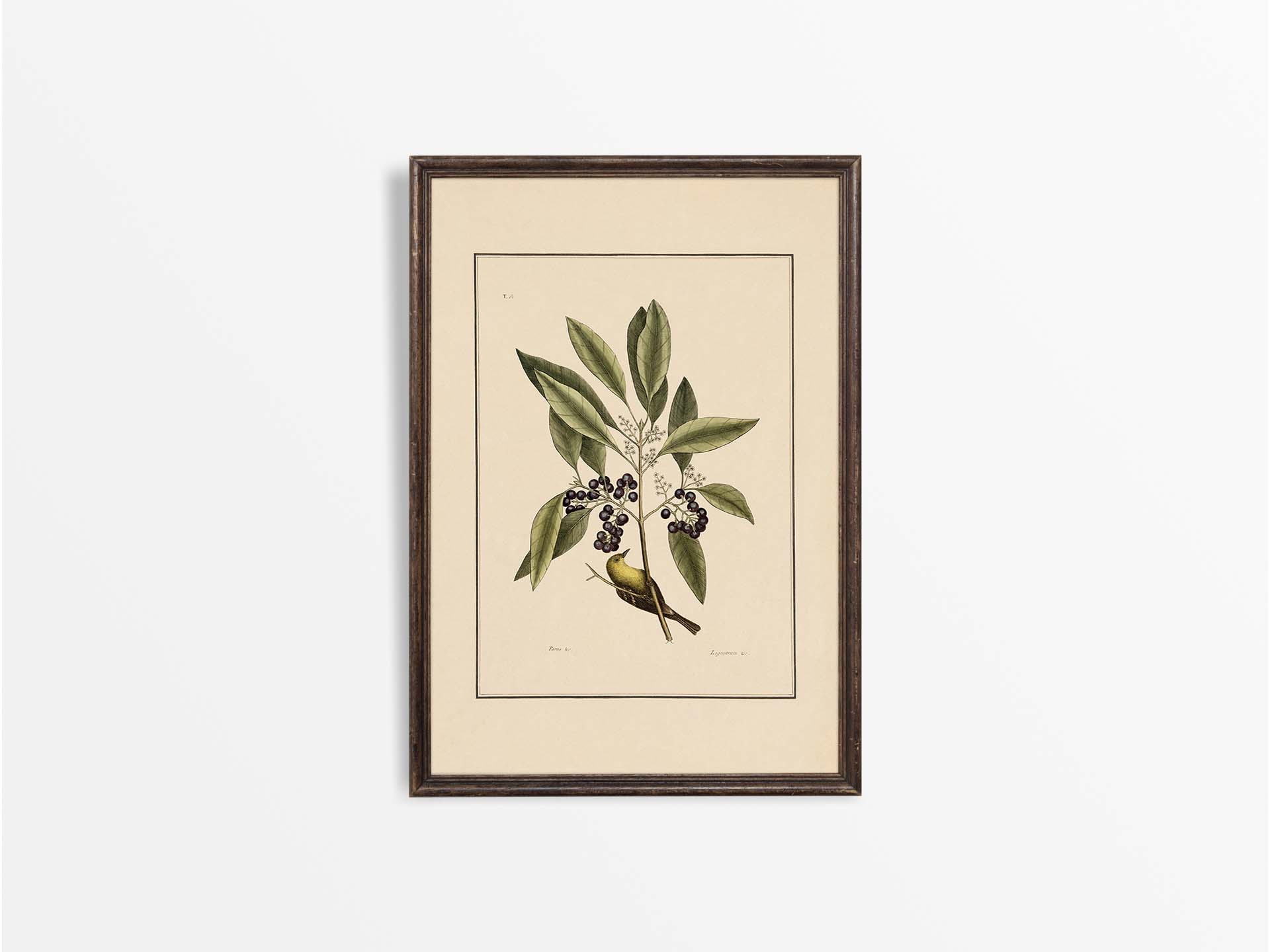 Yellow Bird Vintage Art Print