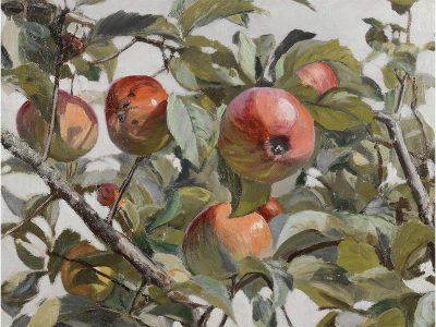 Apples Vintage Art Print