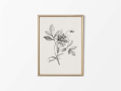 Botanical Sketch Vintage Art Print