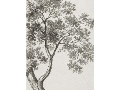 Minimalist Tree Sketch Vintage Art Print