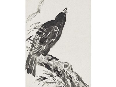Oriental Crow Ink Drawing Vintage Art Print