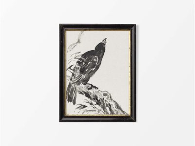 Oriental Crow Ink Drawing Vintage Art Print