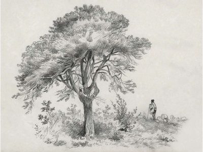 Shepherd and Sheep Sketch Vintage Art Print