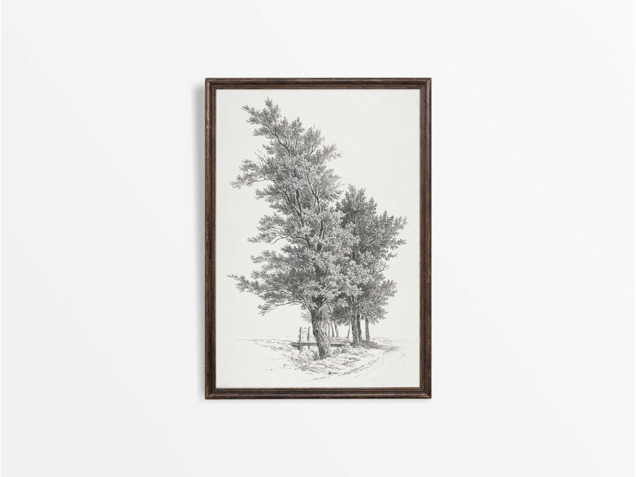 Tree Sketch Vintage Art Print
